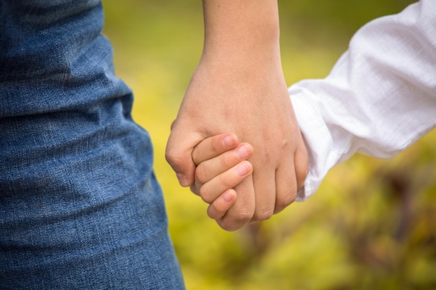 Miembros de la familia tomados de la mano mientras caminan por el parque, tiempo feliz en familia