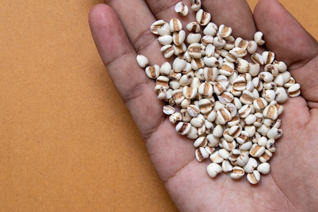 Foto el mijo en la mano es cereal y es alimento porque se usa para publicitar alimentos.