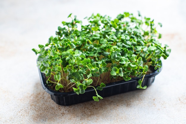 Foto mikrogrüne rettich frische kräuter für salat und kochsnack