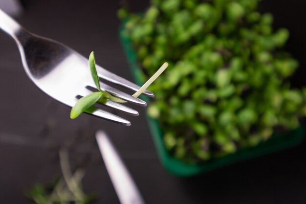 Mikrogrüne Sonnenblume auf Gabel rohe Sprossen Mikrogrün gesunde Ernährung