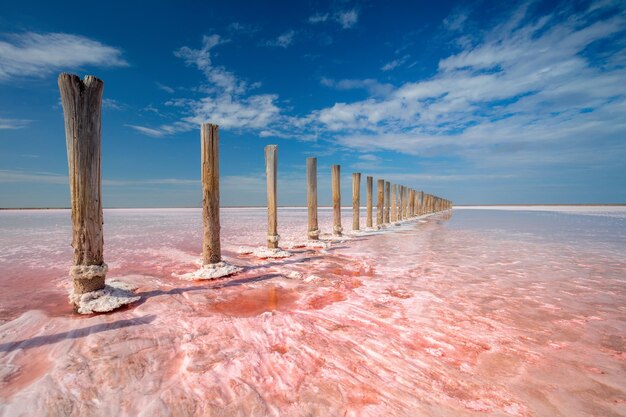 Milagro de la naturaleza Color rosa real del lago salado y cielo azul profundo paisaje natural minimalista Fondo de viaje de Ucrania