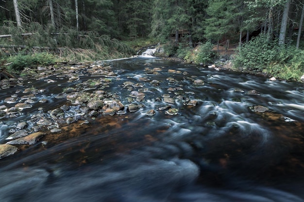 Milchig glatter Bergfluss fließt über dunkle Steine durch dichtes grünes Waldtal Karelien Russland