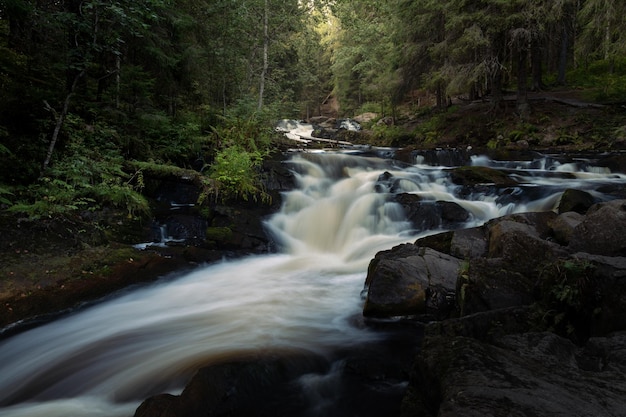 Milchig glatter Bergfluss fließt über dunkle Steine durch dichtes grünes Waldtal Karelien Russland