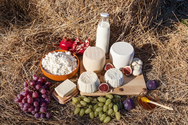 Milchprodukte Milchkäsebutter und Früchte mit Honig auf einem Hintergrund von Heu verschiedene Arten von c