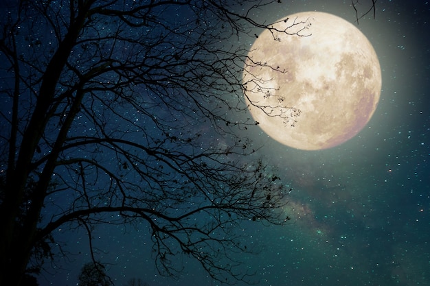 Foto milchstraße stern in nacht himmel, vollmond und alten baum - retro-stil artwork mit vintage farbton (elemente dieses mondes bild von der nasa eingerichtet)