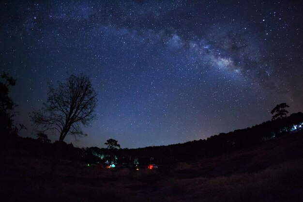 Milchstraße und Silhouette des Baumes im Phu Hin Rong Kla NationalparkPhitsanulok Thailand