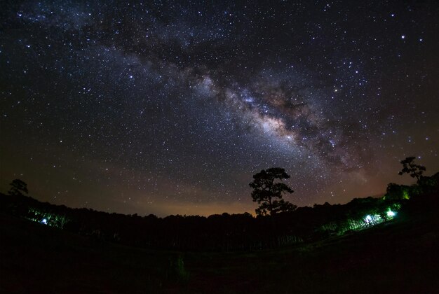 Milchstraße und Silhouette des Baumes im Phu Hin Rong Kla NationalparkPhitsanulok Thailand