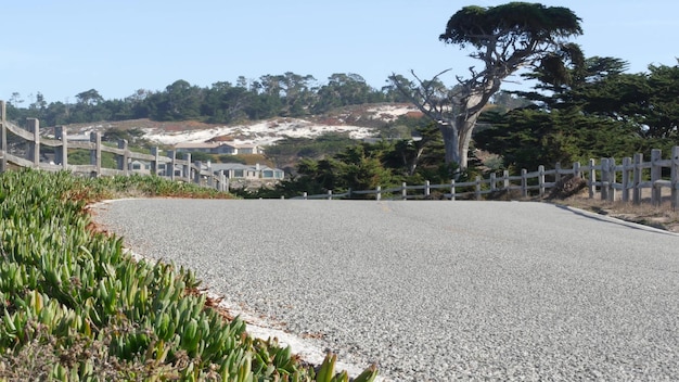 Mile drive cênica estrada monterey califórnia ondas do oceano plantas suculentas