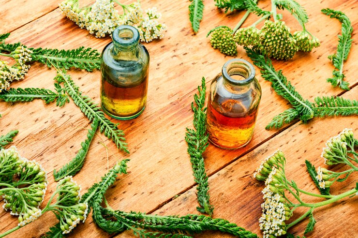 Foto milenrama en la medicina herbal, achillea millefolium