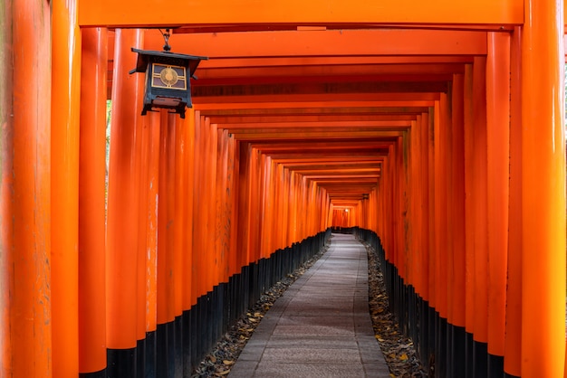 Foto miles de puertas torii rojas a lo largo de la pasarela en el templo fushimi inari taisha es un santuario sintoísta importante y se encuentra en kyoto, japón.