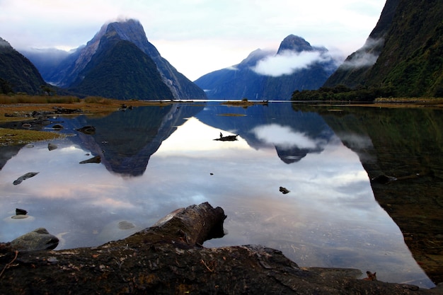 Foto milford sound nova zelândia