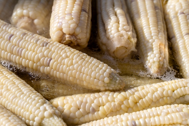 Foto milho branco cozido à venda em feira de comida de rua na tailândia, close-up