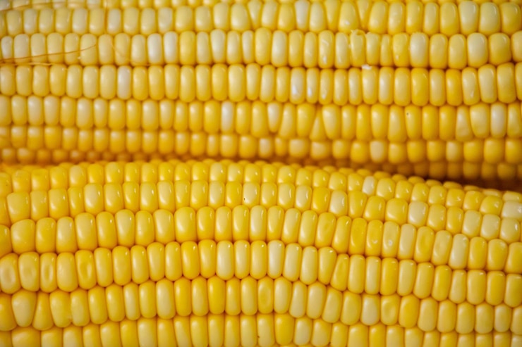 Foto milho verde em foco seletivo e detalhes finos