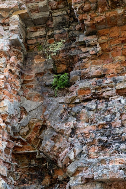 Foto militar abandonado tarakaniv fort otros nombres dubno fort new dubna fortress una estructura defensiva un monumento arquitectónico del siglo xix tarakaniv rivne región ucrania