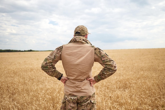 Militar ucraniano no campo de trigo Campos de trigo ucranianos e guerra próxima crise alimentar Forças Armadas da Ucrânia