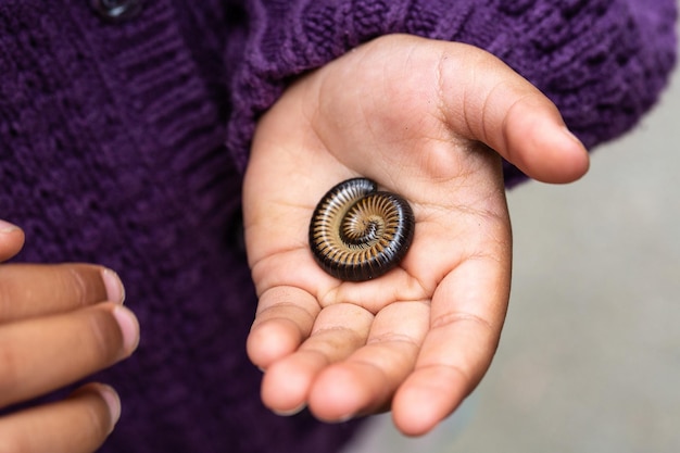 Milpiés en la palma de la mano del niño