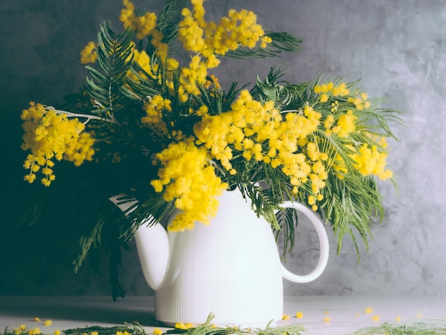 Mimosa amarela em jarro branco em um fundo cinza