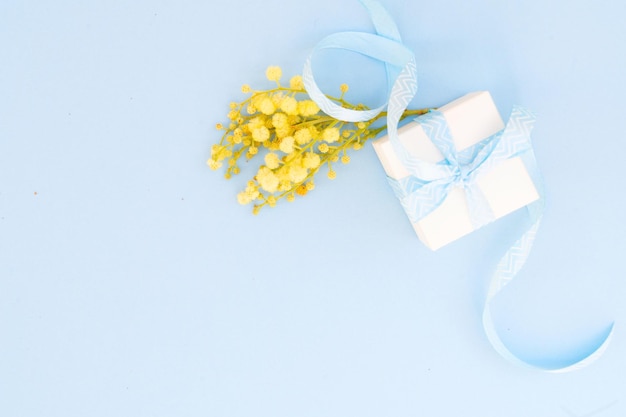 Mimosa y azafranes ramillete de flores amarillas sobre fondo azul de primavera con caja de regalo Fondo del día 8 de marzo mimose es flores tradicionales para el día internacional de la mujer 8 de marzo