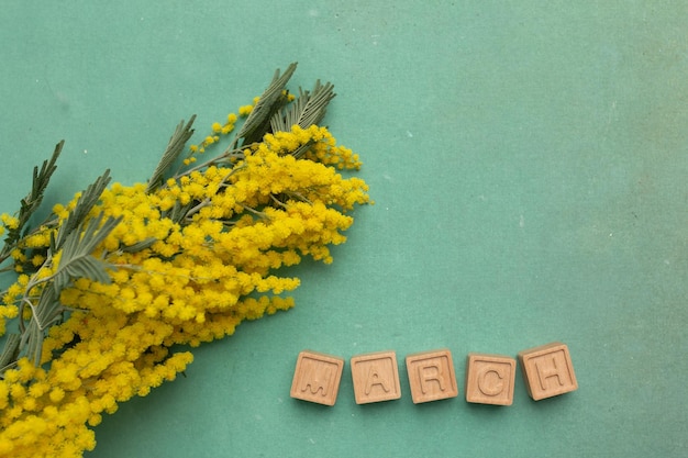 Mimosa blüht Blumenstrauß und Inschrift März auf Holzwürfeln auf grünem Hintergrund
