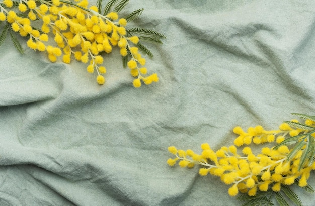 Mimosa-Blüten auf grünem Textilgrund