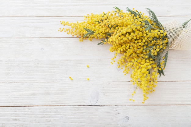 Mimosa sobre fondo blanco de madera