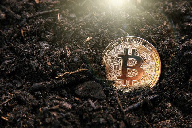 Mineração de bitcoin dourado. Conceito de criptomoedas
