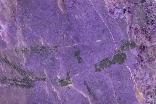 Minerais da Sibéria Rússia Charoite uma pedra semipreciosa natural os únicos fundos de depósito