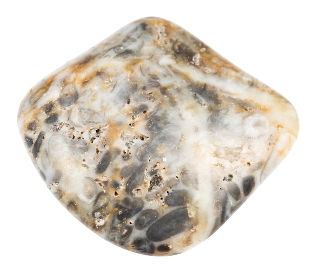 Foto mineral de oncolita pulido aislado en blanco
