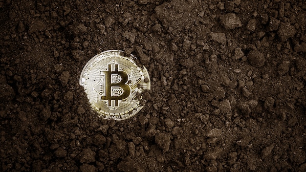 Minería de oro bitcoins