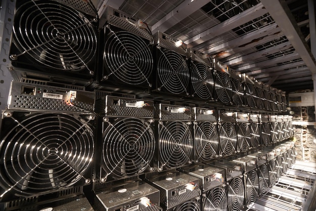 Los mineros de Bitcoin ASIC en el almacén Equipamiento de minería ASIC en bastidores de soporte para la minería de criptomonedas en contenedores de acero Aplicación de la tecnología Blockchain Unidades de almacenamiento de circuitos integrados específicos