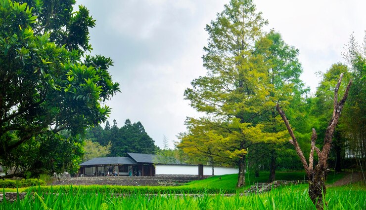 Mingchi Visitor Center Forests Mountains and Lakes Yilan County Taiwan