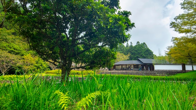 Mingchi Visitor Center Forests Mountains and Lakes Yilan County Taiwan