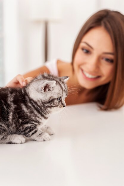 Minha pequena fofura! Gatinho fofo sentado na mesa enquanto é acariciado por uma bela jovem