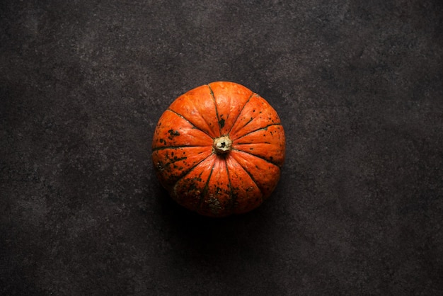 Mini abóbora laranja de outono em um fundo de concreto, vista superior, espaço de cópia