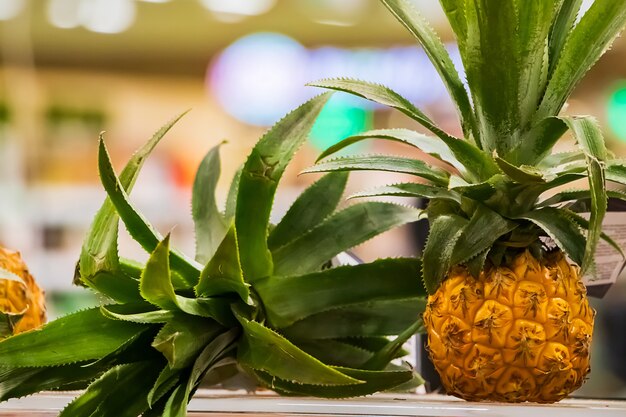 Mini-Ananas auf einem Regal in einem Supermarkt. Reife tropische Früchte