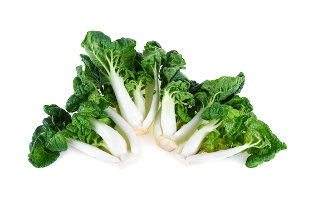 Mini Bok Choy oder Bok Choy isoliert auf weißem Hintergrund