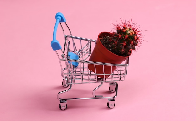 Mini carrito de supermercado con maceta de cactus en rosa pastel