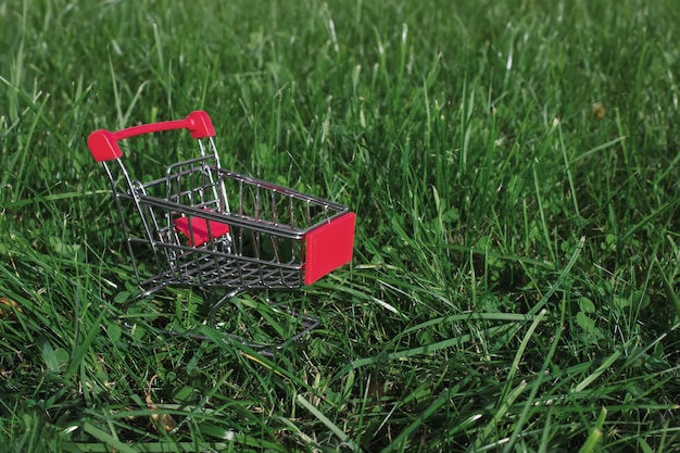 Mini carro de la compra de la carretilla en el fondo de la hierba verde. Inversión empresarial y concepto inmobiliario.