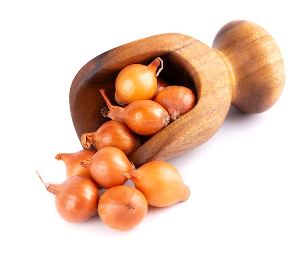 Mini cebollas marrones en cuchara de madera aisladas en un fondo blanco Bulbos de cebolla crudos para el cultivo de cebolla francesa