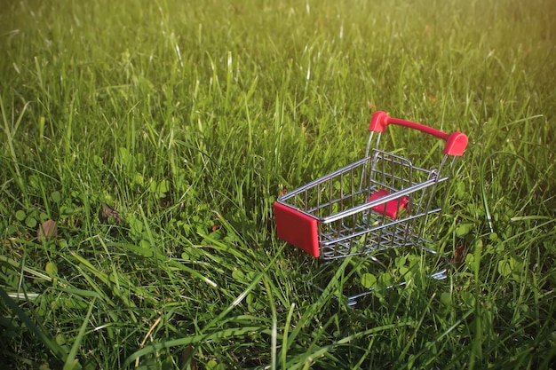 Mini-Einkaufswagen mit Kopienraum auf grünem Grashintergrund mit Sonnenlicht. natürliche Ernährung