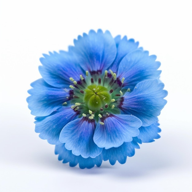Mini flor azul aislada sobre fondo claro