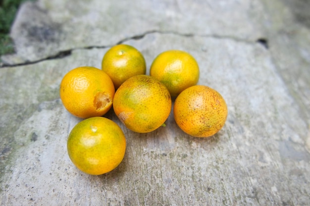 mini frutas de laranja frescas no jardim do quintal no dia de verão