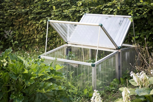 Mini invernadero para el cultivo de plántulas de hortalizas. Inicio Invernadero en miniatura de dibujos animados en el jardín