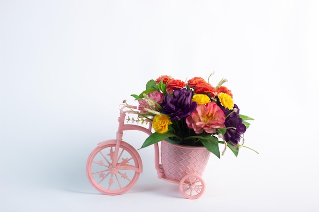 Una mini maceta aislada y una bicicleta aislada en un fondo blanco