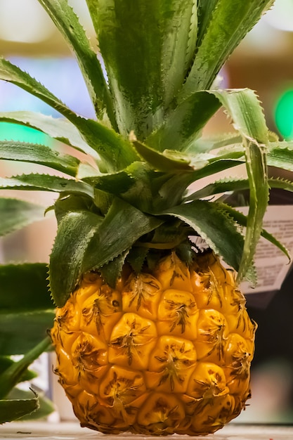 Mini piñas en un estante en un supermercado. Fruta tropical madura