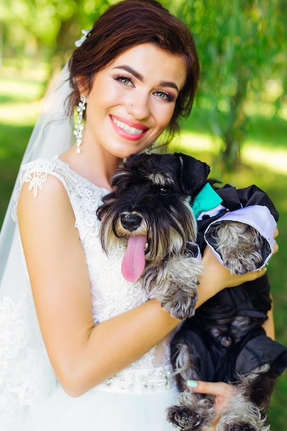 Mini schnauzer en manos de una hermosa novia en una boda dr