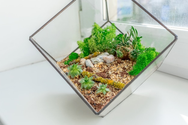 Mini-Sukkulentengarten im Glasflorarium