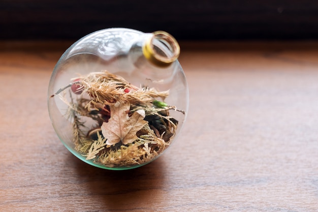 Mini-Sukkulentengarten im Glasterrarium auf hölzerner Fensterbank, Sukkulenten mit Sand und Steinen in der Glasbox, Hauptdekorationselemente.