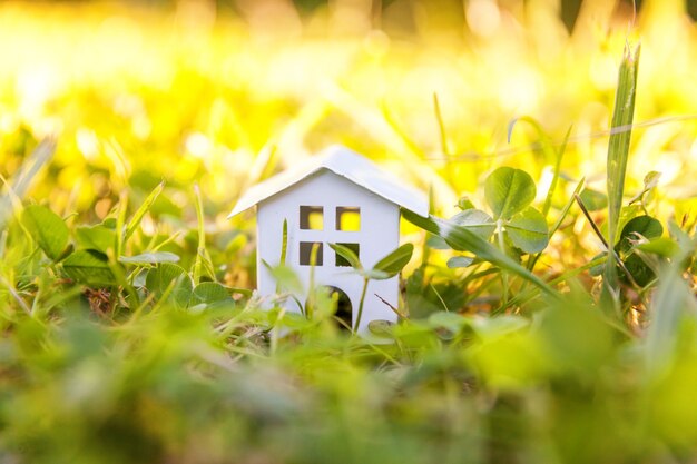 Miniatur weißes Spielzeug Modellhaus in Wiese mit Gras