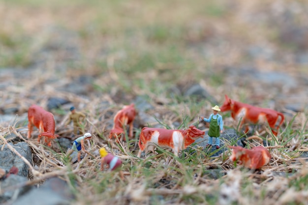 Miniatura pessoas: jardineiro trabalhando no campo